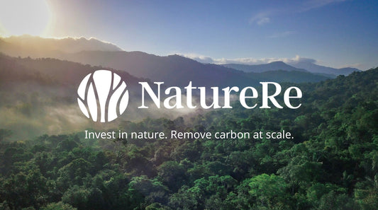 Our Intention Letter for Investing in NatureRe
