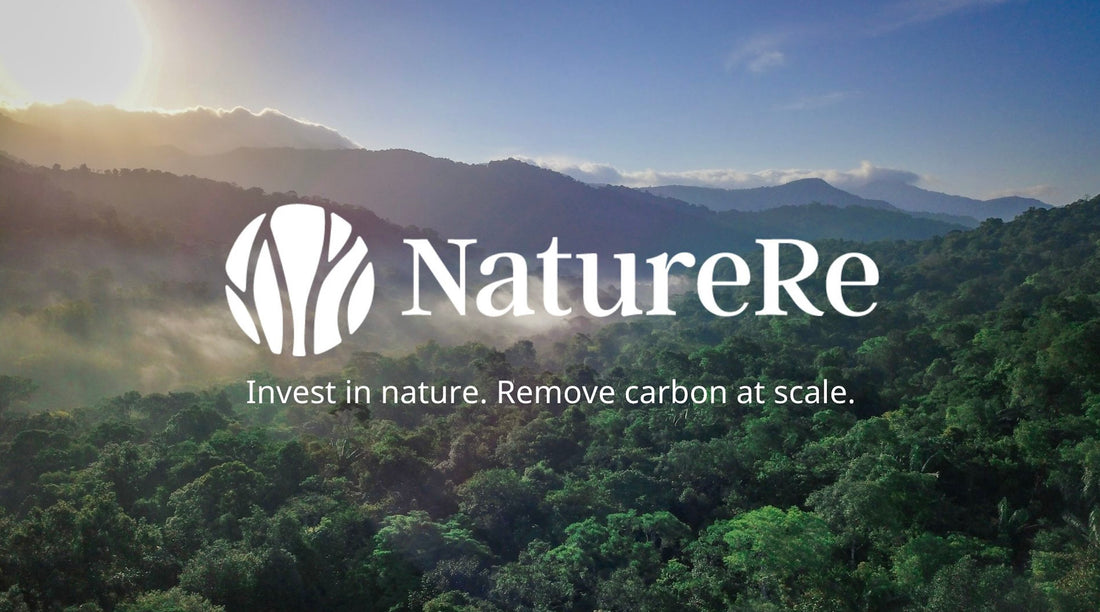 Our Intention Letter for Investing in NatureRe